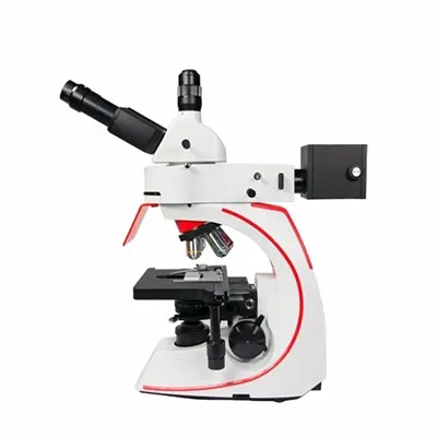 Widefield Medical Fluorescence Microscopy